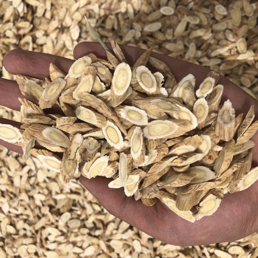 黄芪  瓜子片8-1.0专卖甘肃24h直发