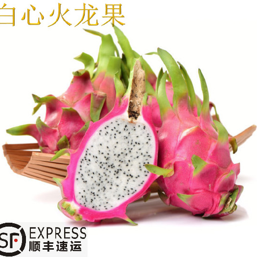  越南白心火龙果