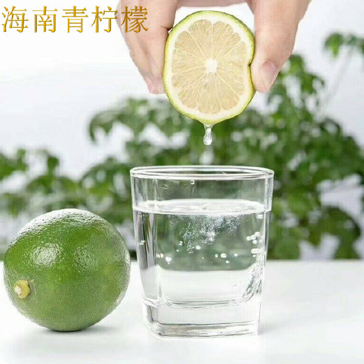 三亚 【优惠包邮】海南青柠檬 产地直供（一件代发）