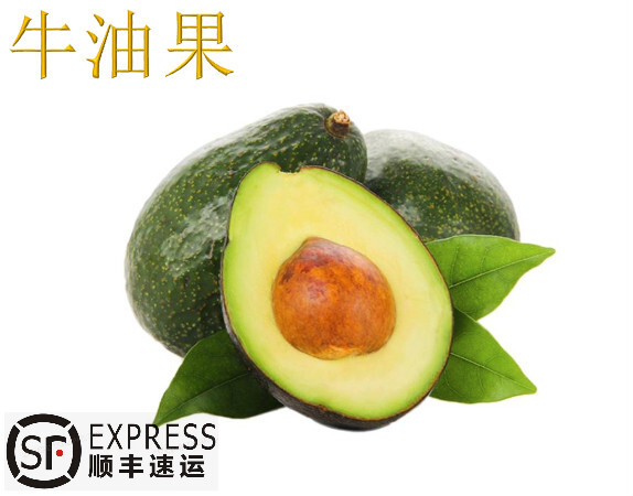 嘉善县 牛油果