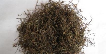 白花she舌草传统中草药