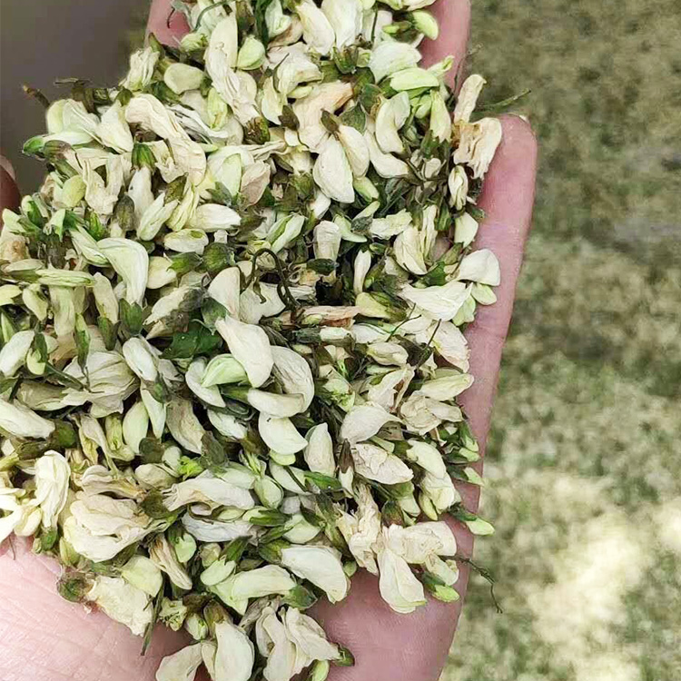  菜老蔫脱水槐花干 食用刺槐花批发 饺子包子槐米馅料 槐花茶