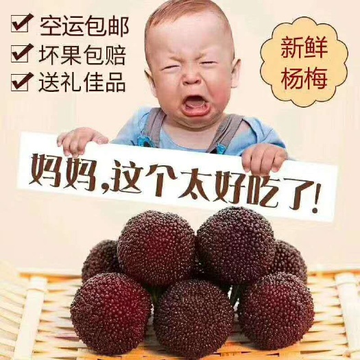 仙居县一件代发果农直种仙居东魁杨梅兵乓秋大小 六斤装江浙沪皖包邮