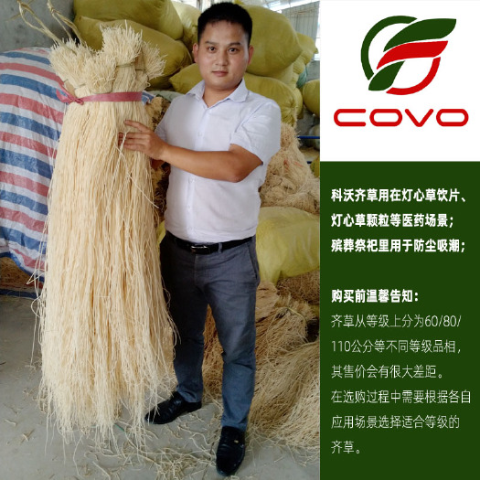 抚州灯芯草  灯心草齐草 灯心草饮片 吸潮防尘 殡葬防潮 万亩基地常年供货