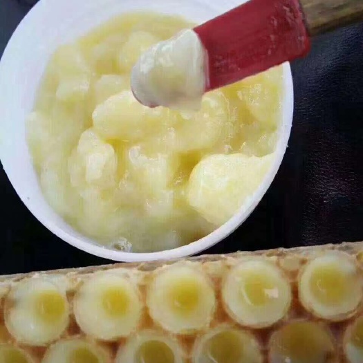 中牟县 纯正天然蜂王浆春浆