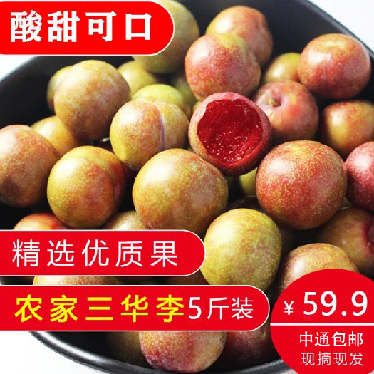 信宜市 【现货销售】信宜钱排三华李子新鲜酸甜水果支持一件代发5斤