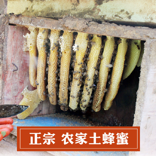 楚雄市 云南哀牢山土蜂蜜/百花蜜/天然 农家自产结晶蜂蜜500克
