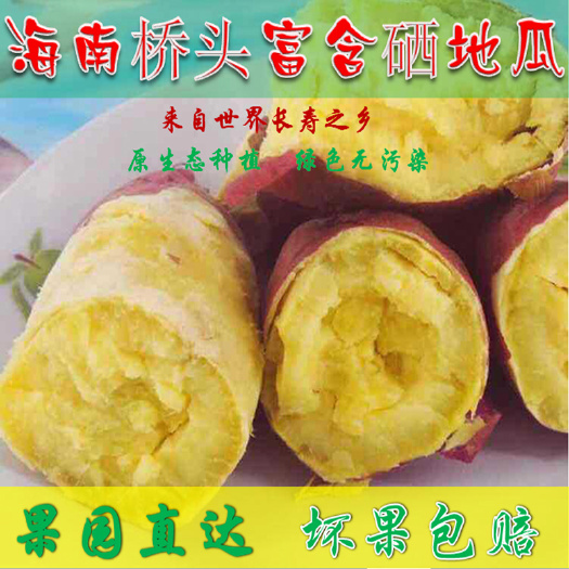 海南澄迈桥头富含硒沙地瓜红薯番薯板栗香带箱5/10斤