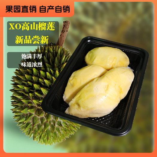 深圳 新货XO榴莲果肉350g榴莲液氮马来西亚盒装