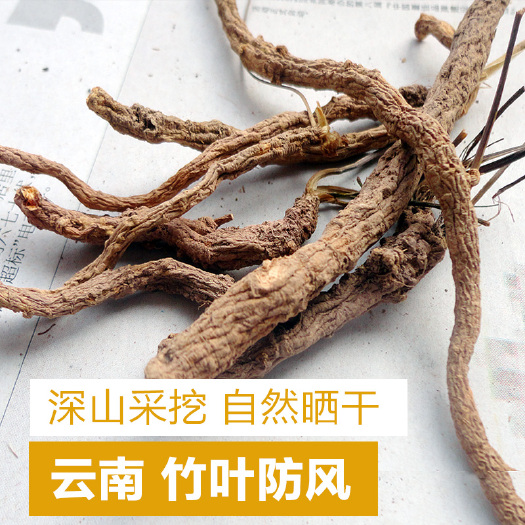 楚雄市 竹叶防风 云防风药草 中药材