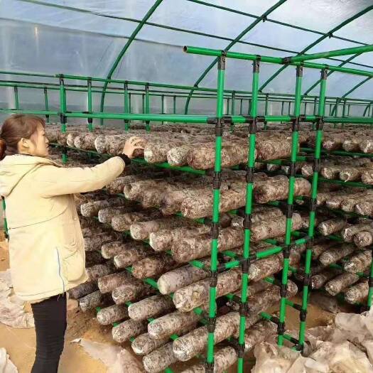 青州市单体棚 种植大棚 钢管大棚 大棚钢管 本公司专业生产各种大棚骨架