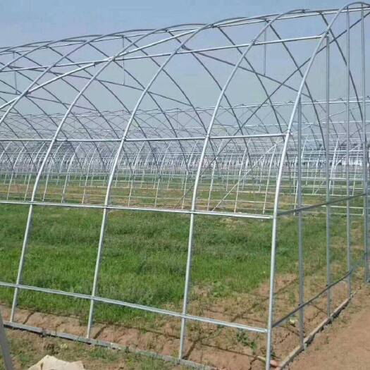 高密市单体棚 种植大棚 钢管大棚 大棚钢管 本公司专业生产各种大棚骨架