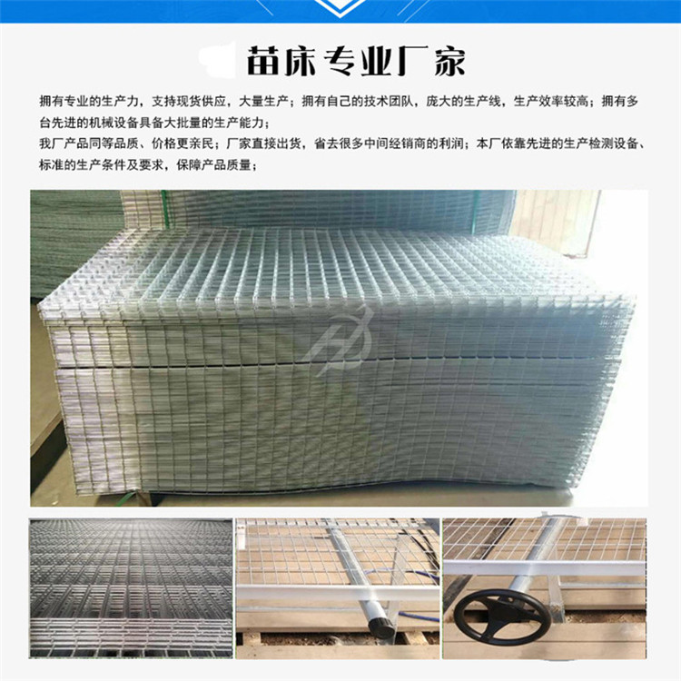 种植大棚 优质苗床网花卉移动苗床在现代农业中的应用