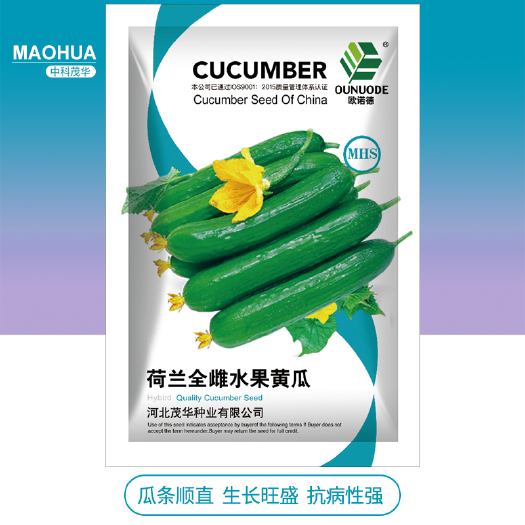 水果黄瓜种子 中科茂华蔬菜种子无刺全雌水果黄瓜迷你水果小黄瓜一叶一瓜