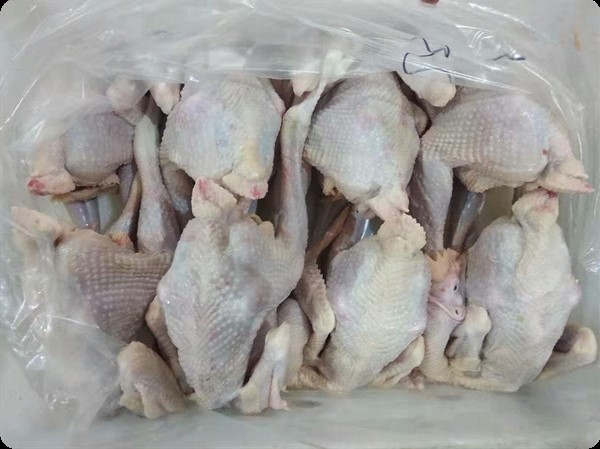 [白条鸡批发]白条鸡 579大公鸡白条 山东有路食品厂家直销 9kg/箱价格