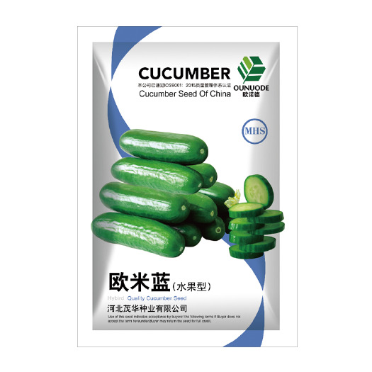 青县 中科茂华蔬菜种子欧米蓝全雌系节节有瓜荷兰小黄瓜种子阳台盆栽