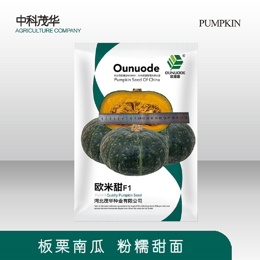青县 中科茂华蔬菜种子欧米甜板栗南瓜种子新西兰类型南瓜新品种