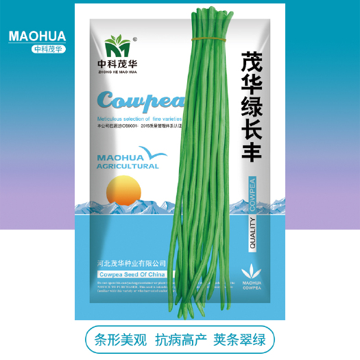 青县豆角种子 中科茂华 蔬菜种子 绿长丰神豇一号豇豆种子翠绿色条长90厘米