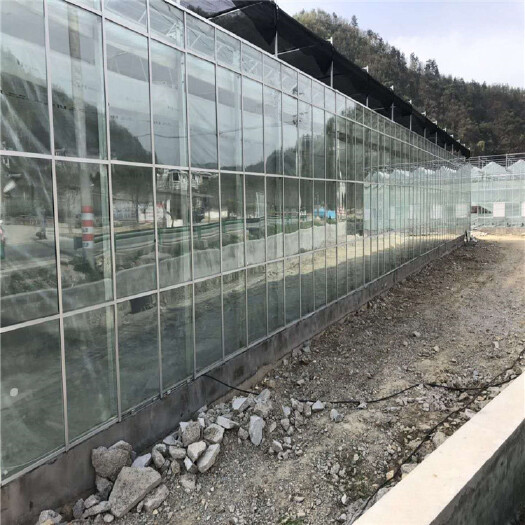泊头市连栋棚 玻璃连栋温室   伟宸温室制造