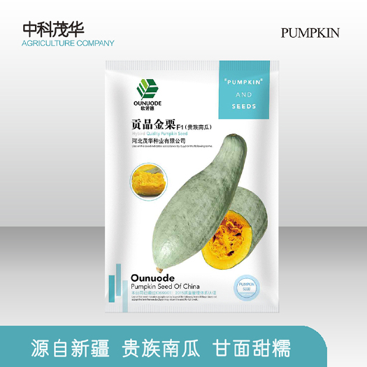 青县 中科茂华南瓜种子贡品金栗新疆贵族南瓜西域丑瓜超甜面粉糯香甜