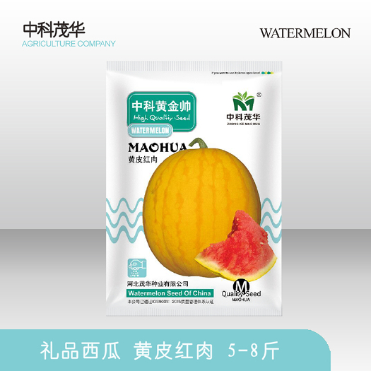 青县 中科茂华水果种子金玲珑中科黄金帅西瓜种子黄皮红肉礼品西瓜种子