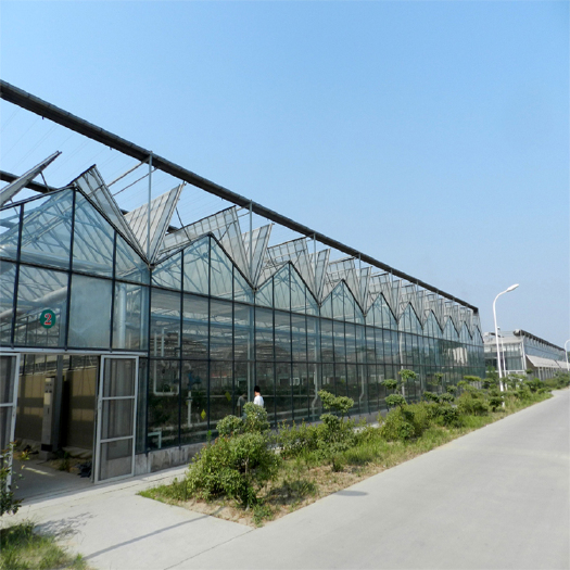 青州市 建达JD 现代化玻璃温室大棚 智能玻璃温室大棚