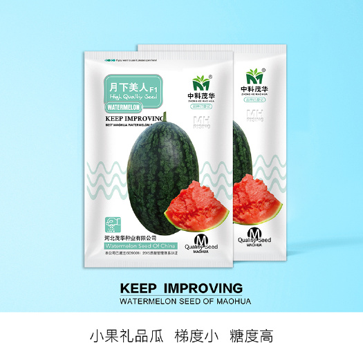 青县 中科茂华瓜果种子茂华珍甜月下美人礼品西瓜种子家庭园艺阳台盆栽
