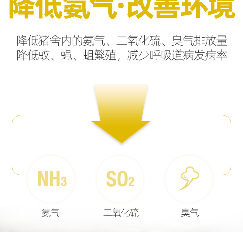 白金肽  提高母猪健康水平提高母猪产仔率