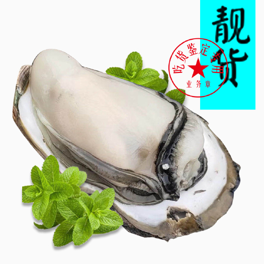 佛山 大蚝 直供牡蛎台山蚝精品阳江蚝珠海蚝烧烤清蒸
