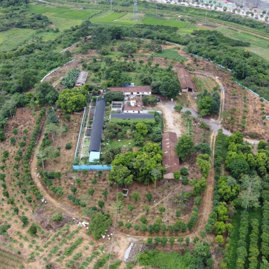 广州 广州市从化区城郊街明珠工业园附近8亩养殖场果园出租