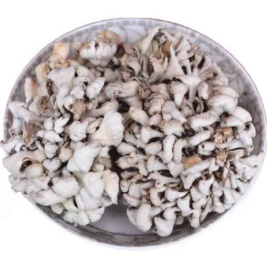 昆明 全国包邮云南精品食用菌菌类鲜货干货批发白参菌