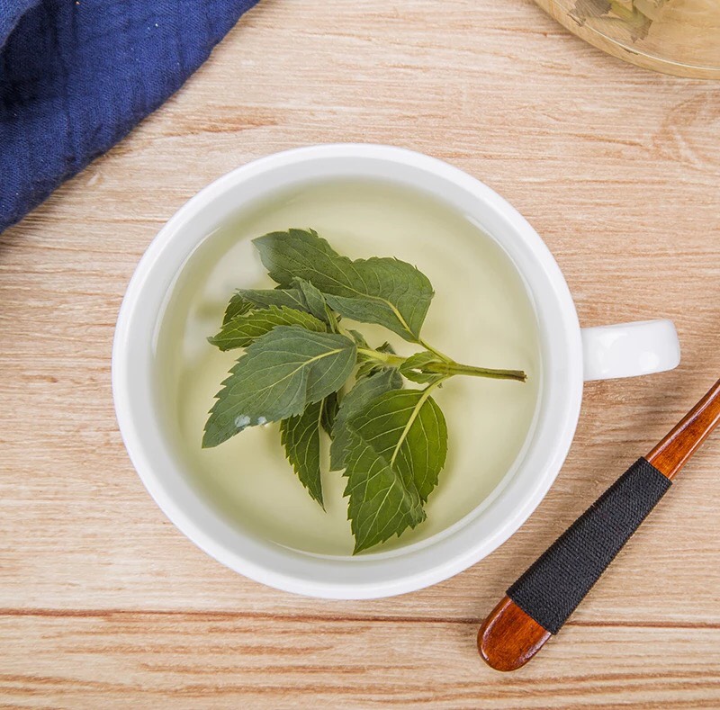 薄荷叶茶  薄荷叶批发 散装新货色绿干薄荷叶 全绿大量批发