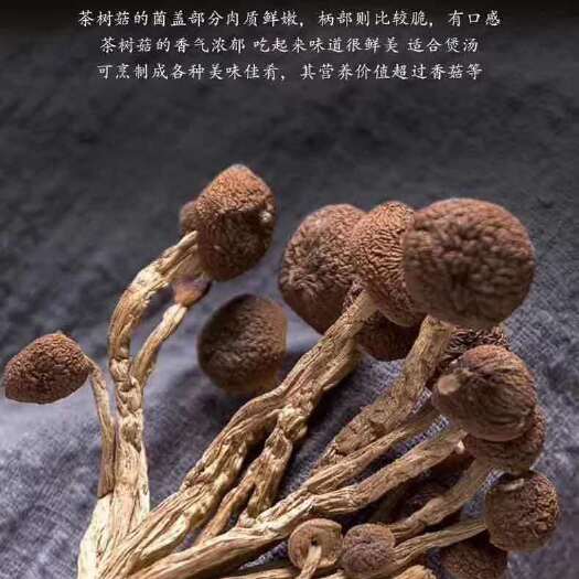 广昌县 广昌5号茶树菇 新货5号 10斤起包邮 产地直销
