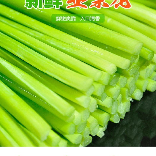 罗定市 新鲜韭菜花5斤起批