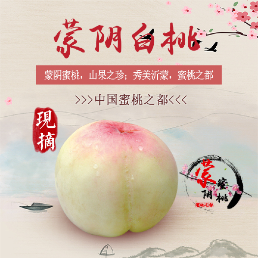 蒙阴县 蒙阴蜜桃-白桃，蜜桃代收，一件代发，视频看货，产地直供