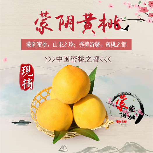 蒙阴县 蒙阴蜜桃-黄桃，蜜桃代收，一件代发，视频看货，产地直供