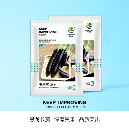 青县 中科茂华蔬菜种子中科黑龙茄子种子黑长茄黑又亮白绿肉肉质细腻