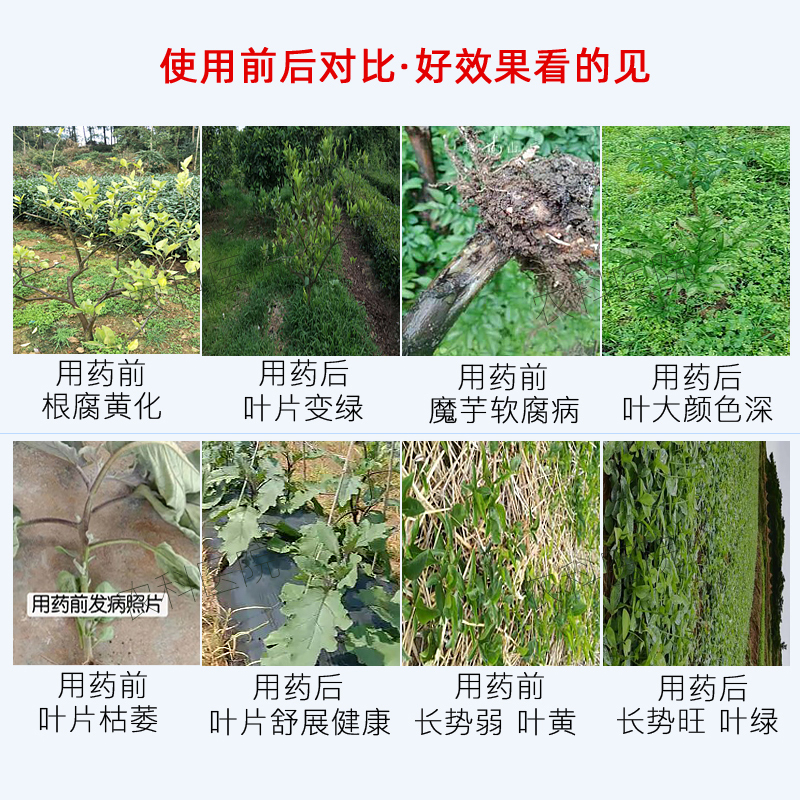 青枯立克半夏根腐病三七根腐病魔芋软腐病魔芋根腐病农药杀菌剂
