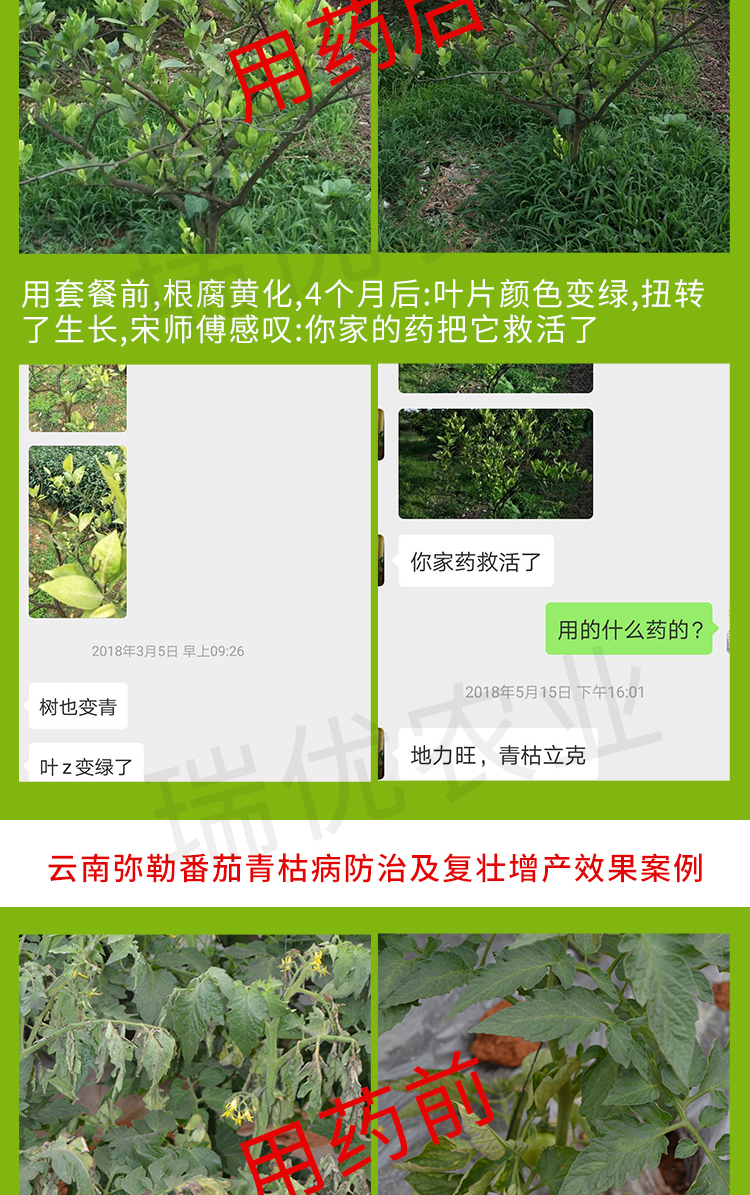 青枯立克半夏根腐病三七根腐病魔芋软腐病魔芋根腐病农药杀菌剂