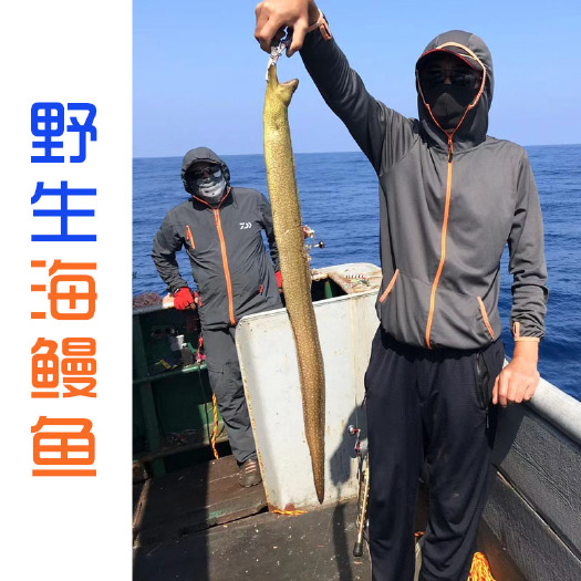 厦门 西沙群岛南海海钓深海鳗鱼