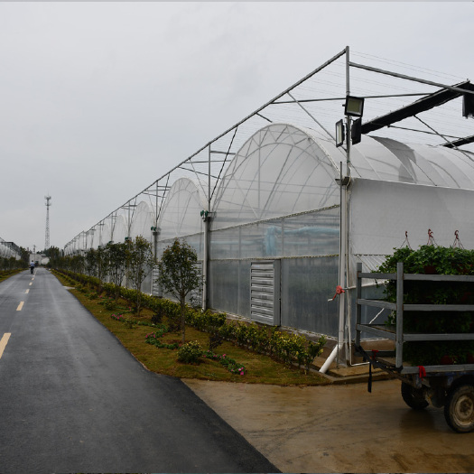 青州市 建达JD 连栋温室大棚 玻璃连栋温室大棚 塑料薄膜温室大棚