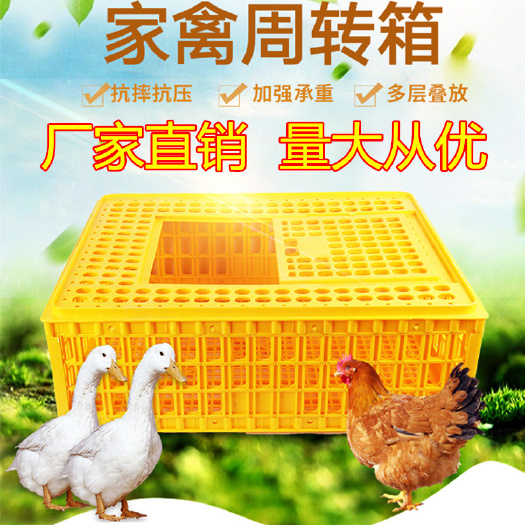 盐城 塑料鸡笼运输鸡筐鸡框周转成鸡箱鸭笼鸽笼鸭箱鹅箱家用运输笼