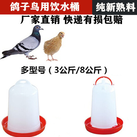 盐城饮水设备 鸽子鸟用自动喂食饮水器信鸽用品用具鸽具养鸡喂鸡鸭食槽食盒料盆