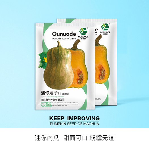 青縣 中科茂華南瓜種子迷你嬌子小型禮品超甜甜糯可口奶油型高糖度高