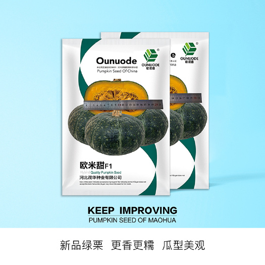 青县 中科茂华蔬菜种子欧米甜板栗南瓜种子绿栗南瓜新品种
