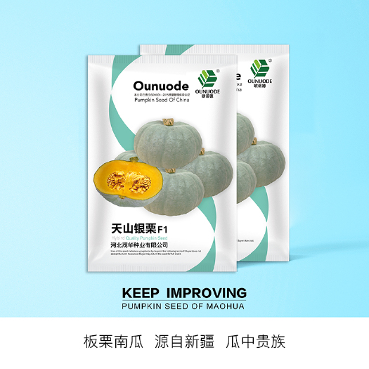 青县 中科茂华蔬菜种子天山银栗南瓜种子新疆茂华银栗银灰色粉糯超甜面