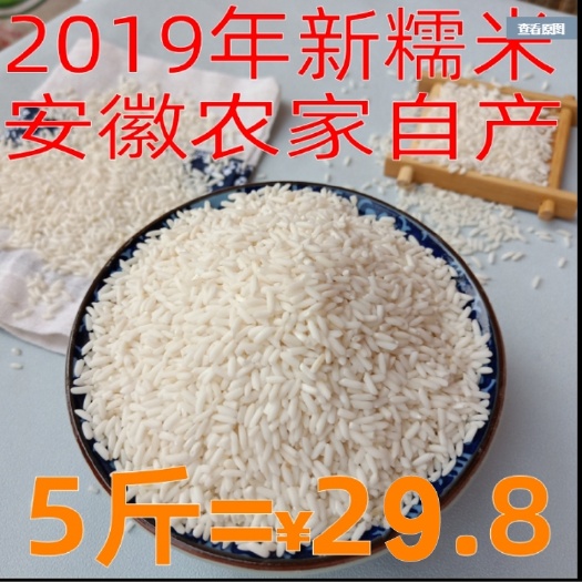 阜阳新米5斤安徽特产凤台雪合长粒糯米散装新鲜纯白江米酒酿包粽子