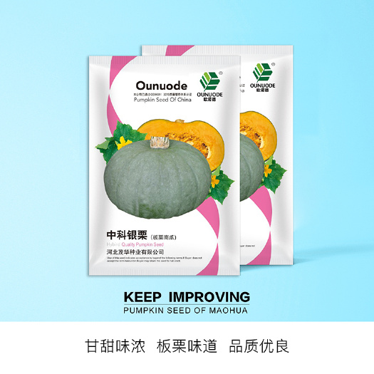 青县 中科茂华蔬菜种子南瓜种子中科银栗板栗南瓜粉糯超甜面肉质细腻