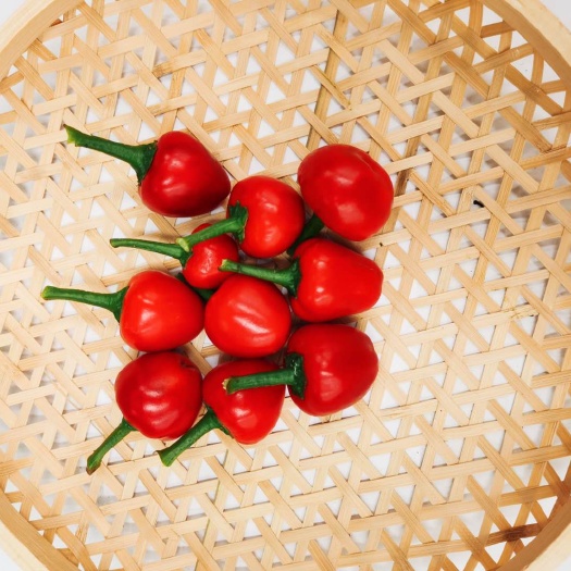 株洲辣椒 樱桃椒