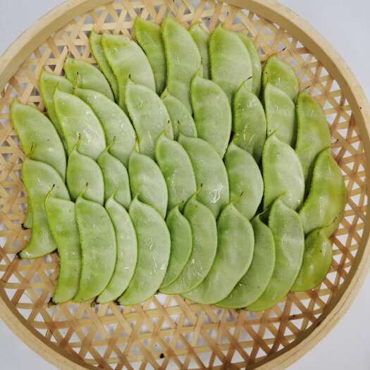 株洲 本地扁豆